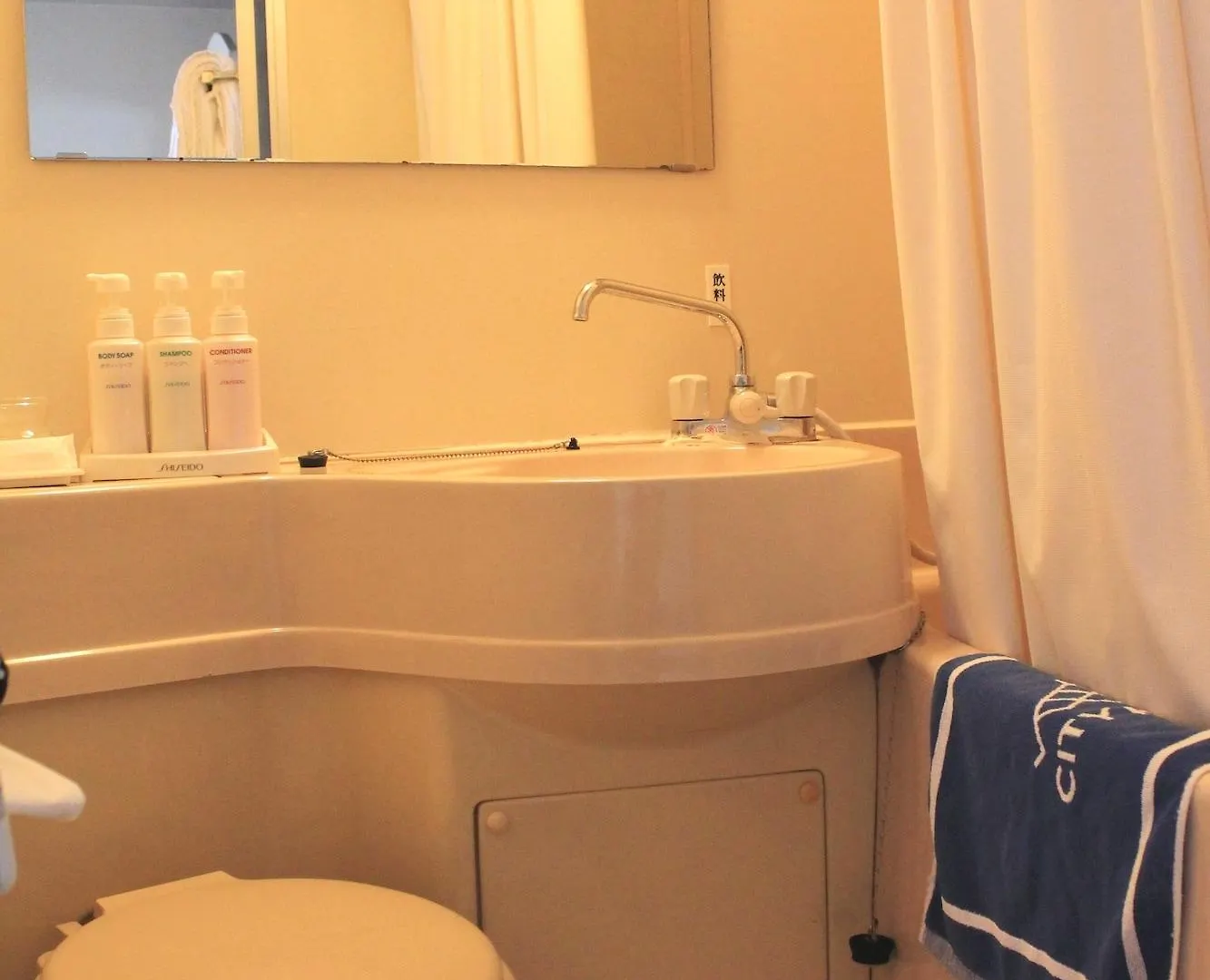 Kyoto City Hotel