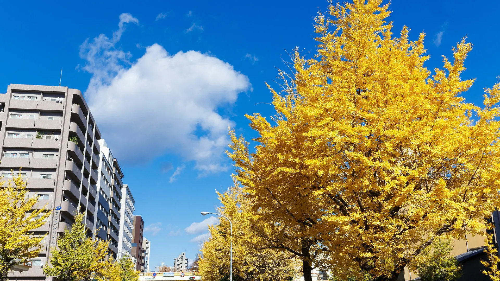 Kyoto City Hotel